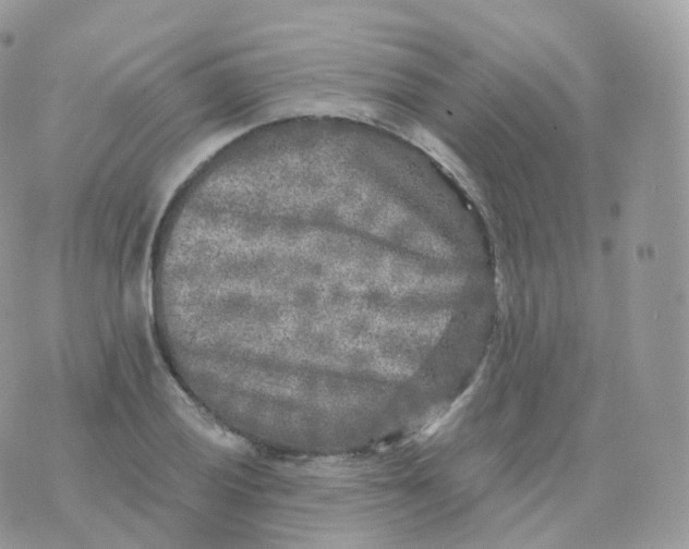 X0000070421028200606302056