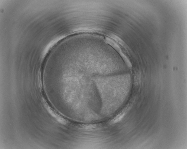 X0000070421030200606302056