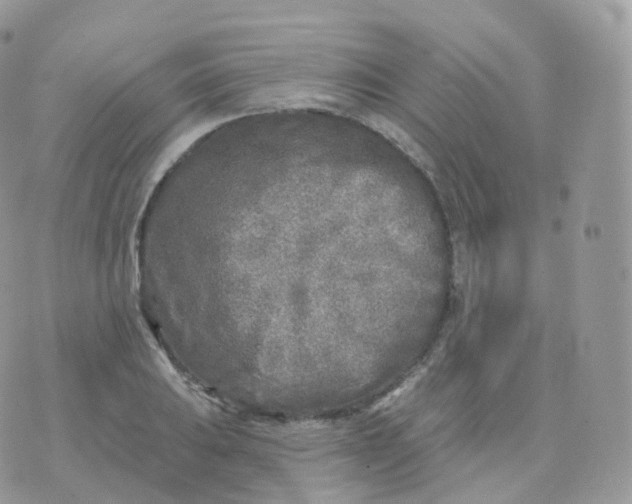 X0000070421031200606302056