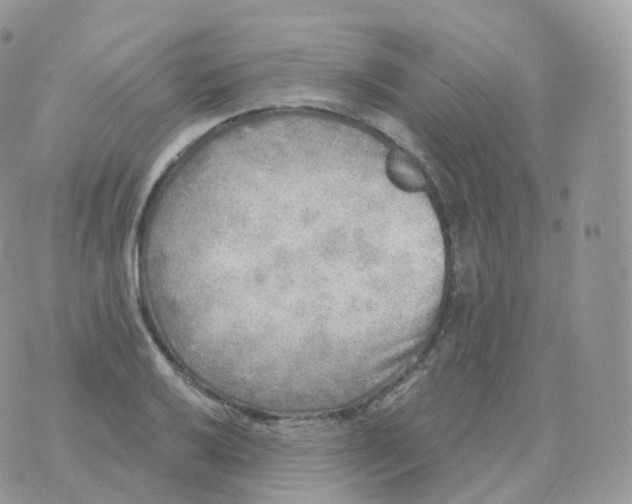 X0000070421032200606302056