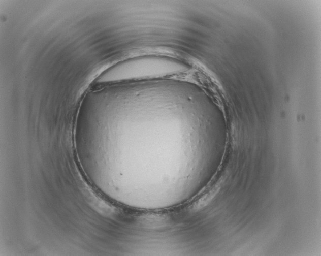 X0000070421033200606302056