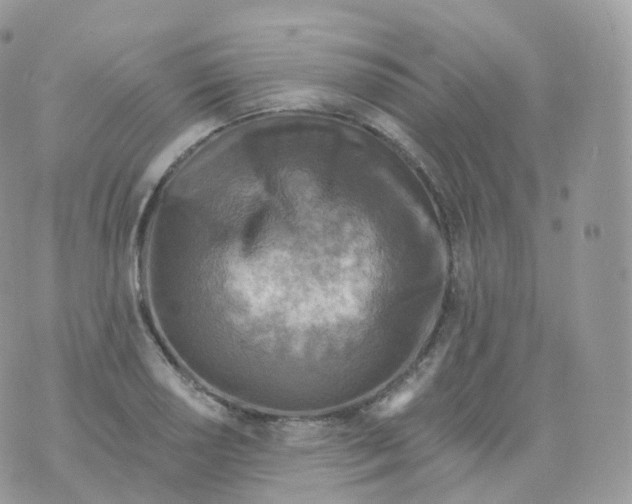 X0000070421034200606302056