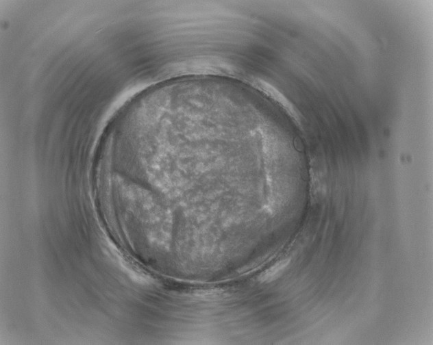 X0000070421035200606302056