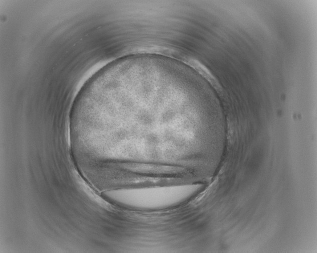 X0000070421036200606302056