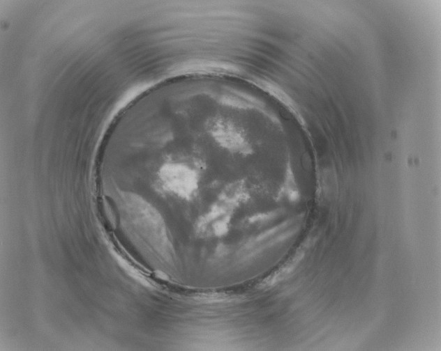 X0000070421037200606302056