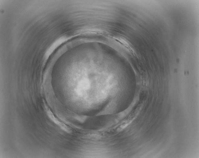 X0000070421038200606302056