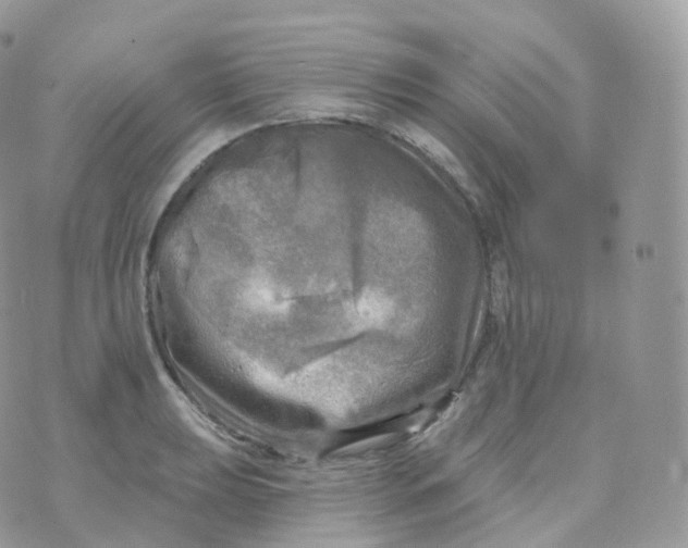 X0000070421039200606302056