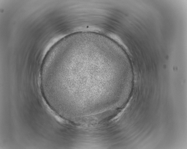 X0000070421040200606302056