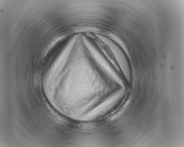 X0000070421041200606302056