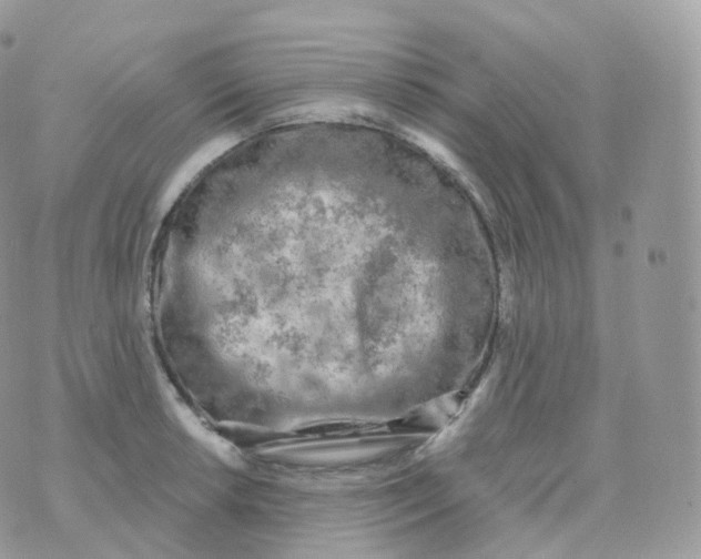 X0000070421042200606302056