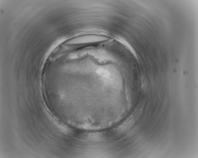 X0000070421043200606302056