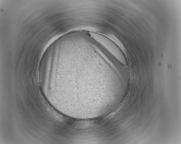 X0000070421044200606302056