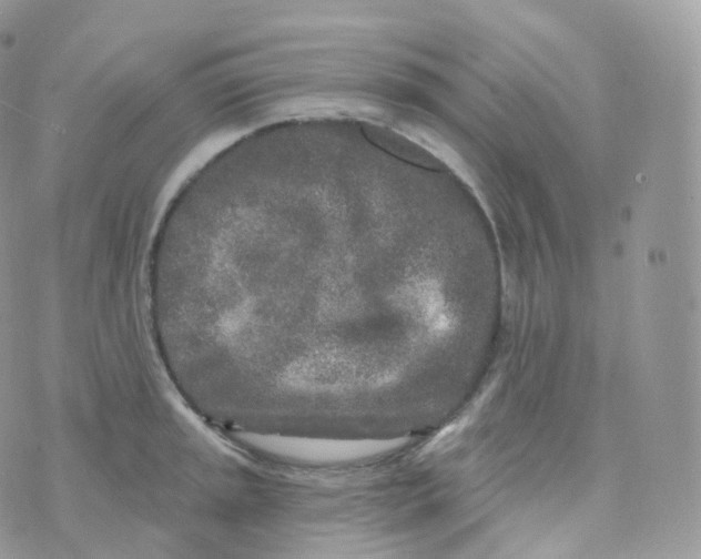 X0000070421045200606302056