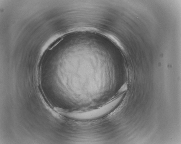 X0000070421046200606302056