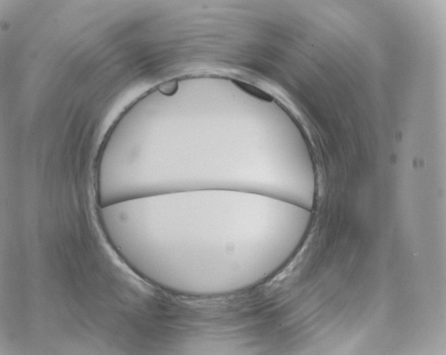 X0000070421048200606302056