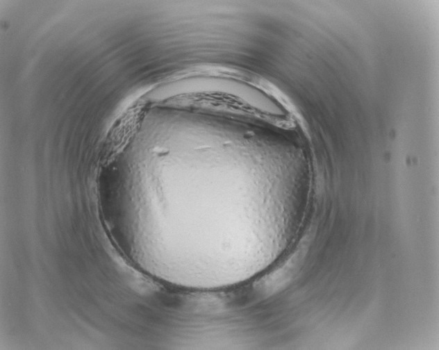 X0000070421049200606302056