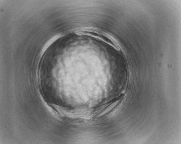 X0000070421050200606302056