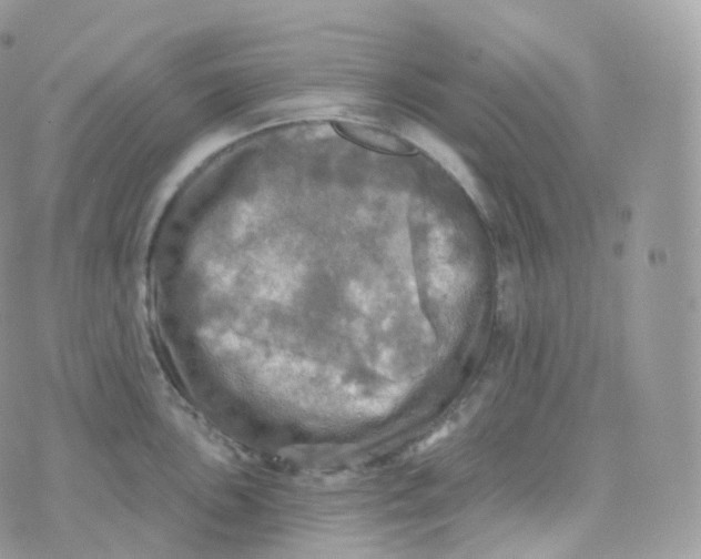 X0000070421051200606302056