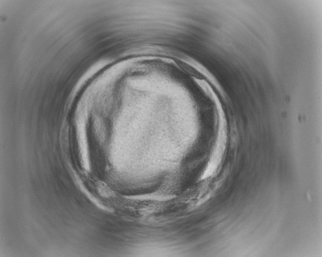 X0000070421053200606302056