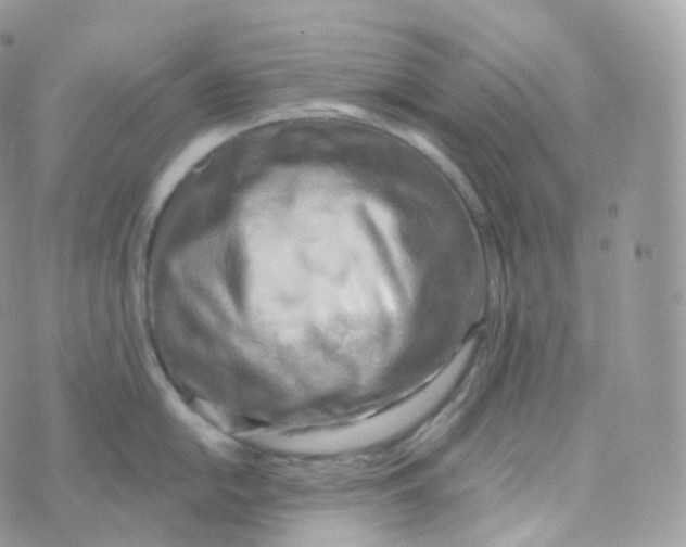 X0000070421054200606302056