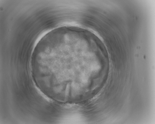 X0000070421056200606302056