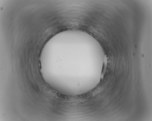 X0000070421057200606302055