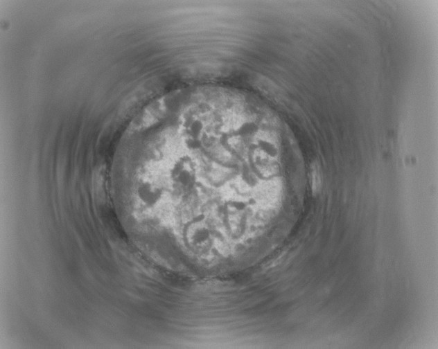 X0000070421059200606302055