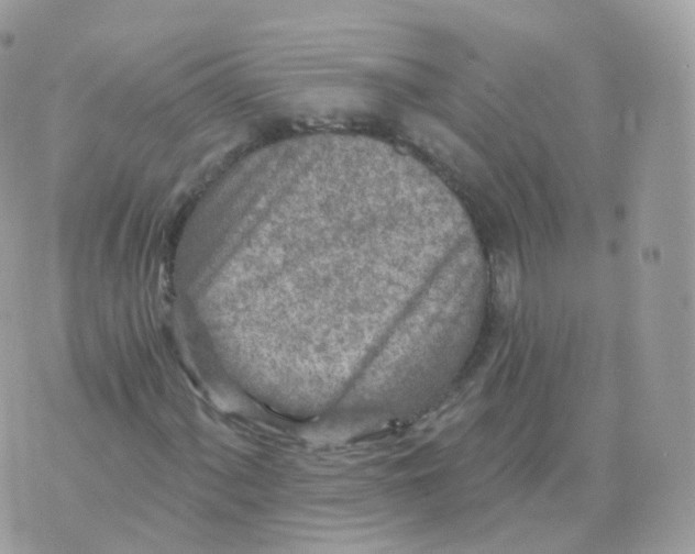 X0000070421060200606302055