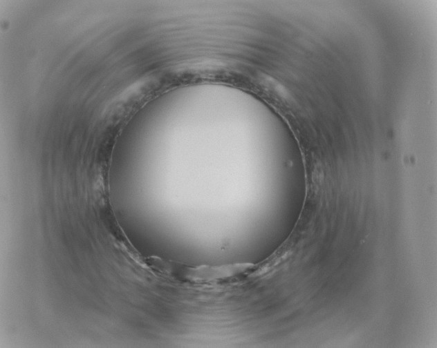 X0000070421062200606302055