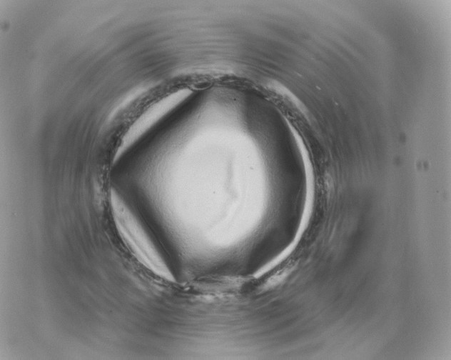 X0000070421064200606302055