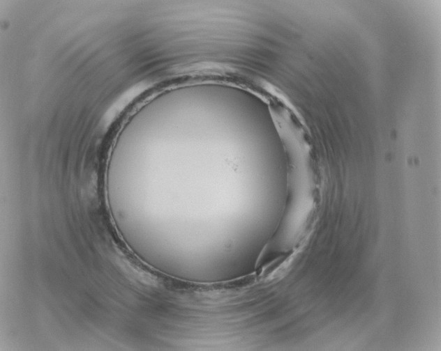 X0000070421066200606302055