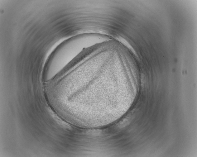 X0000070421068200606302055