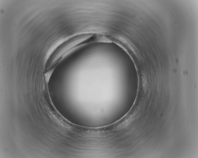 X0000070421069200606302055