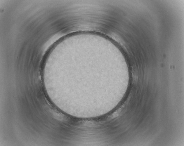 X0000070421070200606302055