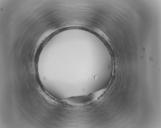 X0000070421072200606302055