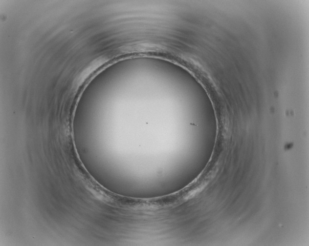 X0000070421073200606302055