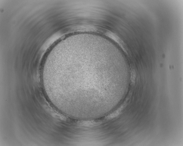 X0000070421074200606302055