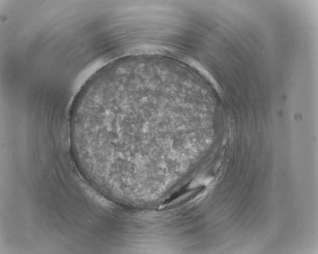 X0000070421075200606302055