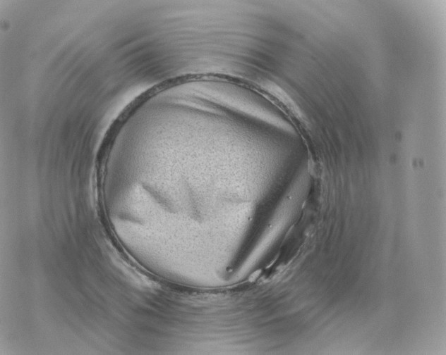 X0000070421076200606302055