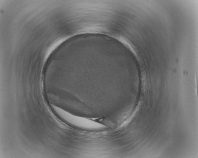 X0000070421077200606302055