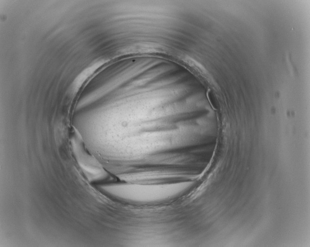 X0000070421081200606302055