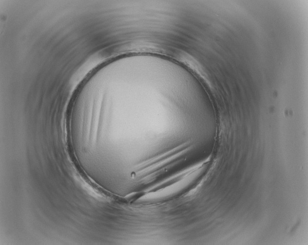 X0000070421082200606302055