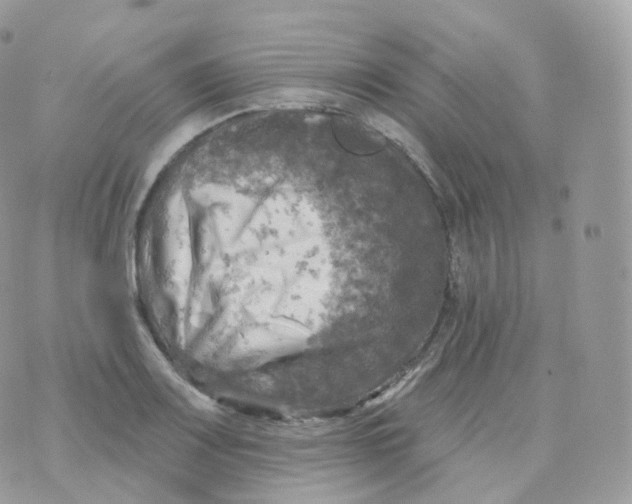 X0000070421083200606302055