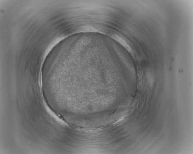 X0000070421084200606302055