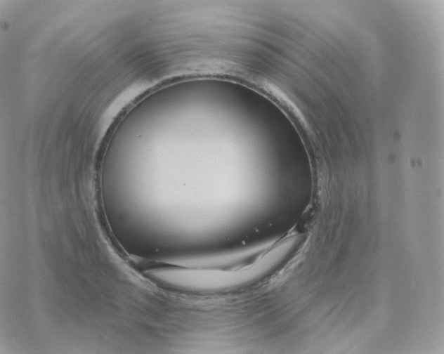 X0000070421085200606302055