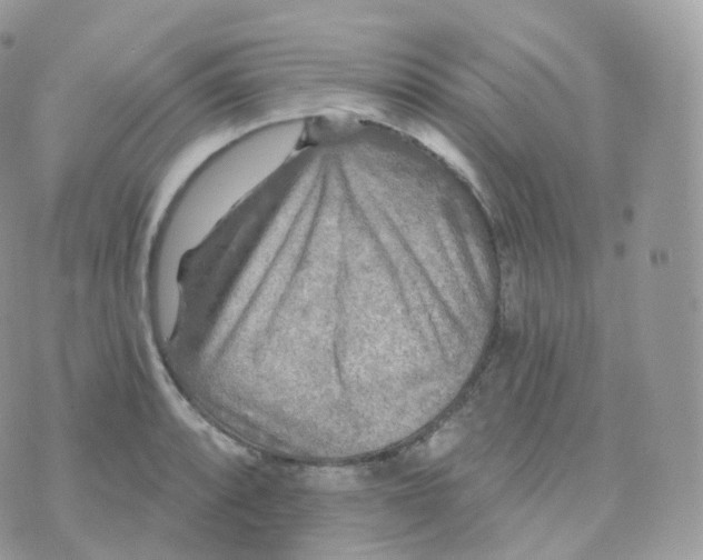 X0000070421088200606302055