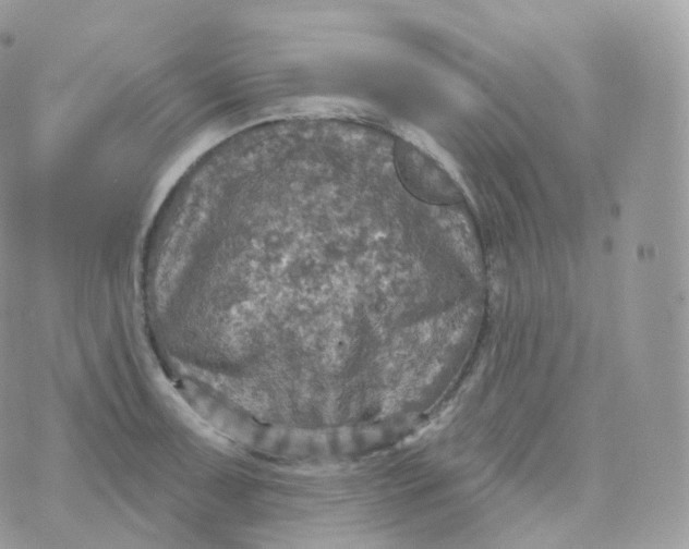 X0000070421091200606302055