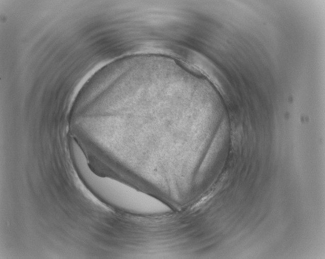 X0000070421092200606302055