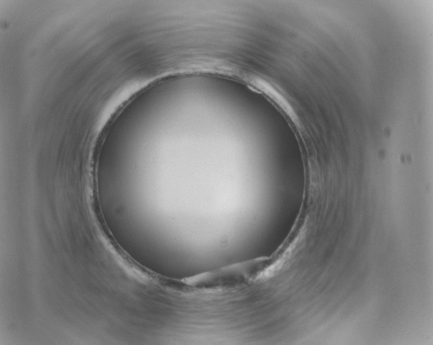 X0000070421093200606302055