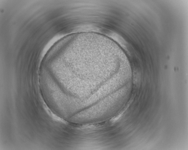 X0000070421094200606302055